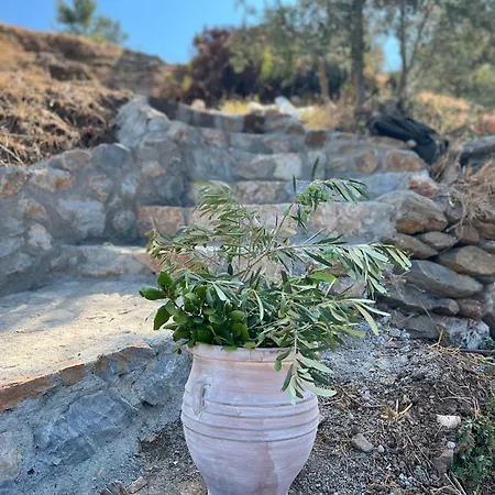 Christoforos Kekakos Magical View * Neapoli Voion